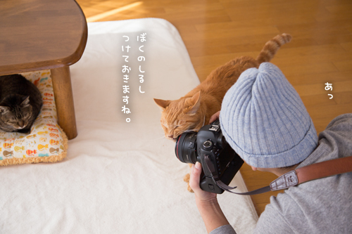 ケニアドイさんがやってきた_d0355333_11353475.jpg