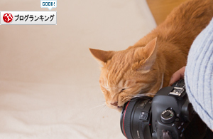 ケニアドイさんがやってきた_d0355333_11353573.jpg