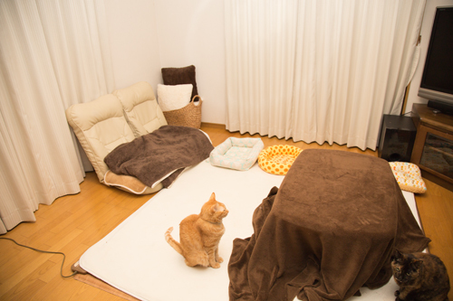 新しいソファがほしい_d0355333_11354120.jpg