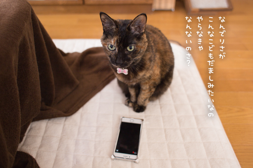 無言の圧力。_d0355333_11354881.jpg