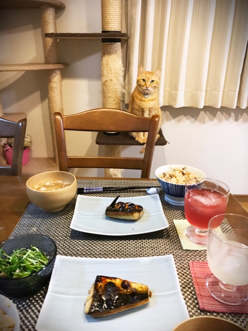 うちでのんびりが一番_d0355333_11355647.jpg