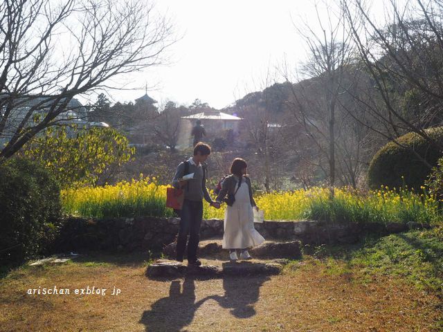 牧野植物園の菜の花と桃＠高知_f0295238_12440184.jpg