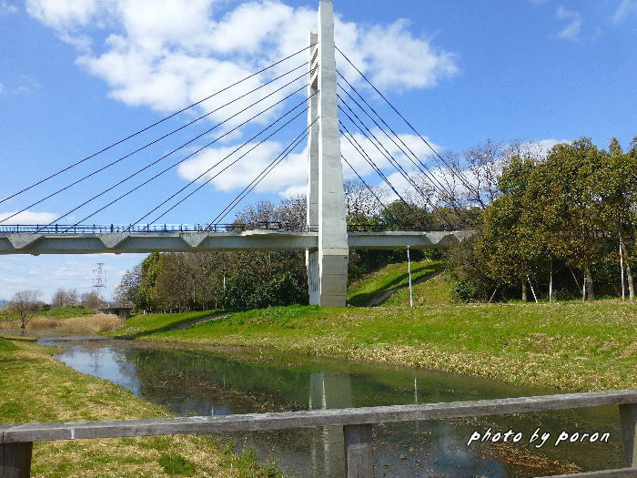 山田池公園の「美月橋」の風景。_c0137342_09401012.jpg