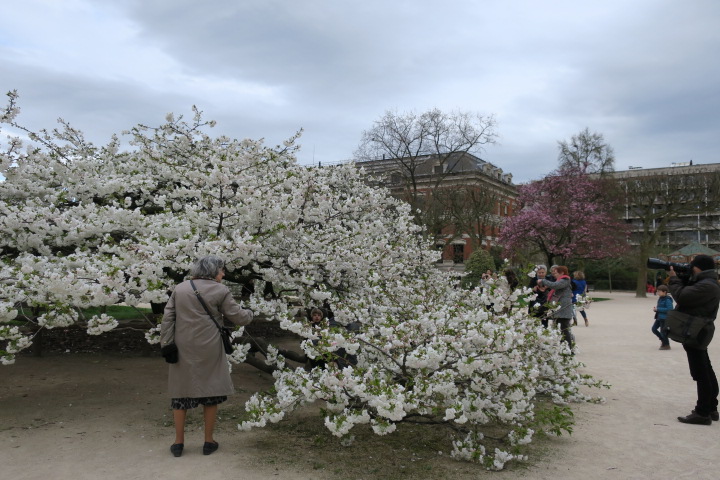 e0300042_2072533.jpg