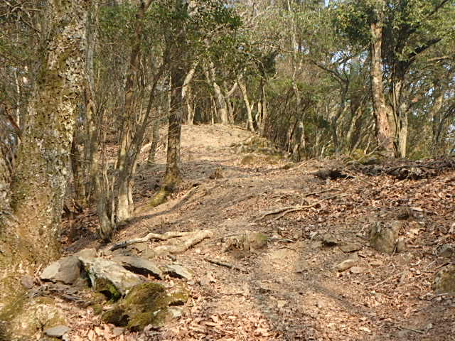 f0334143_1248508.jpg