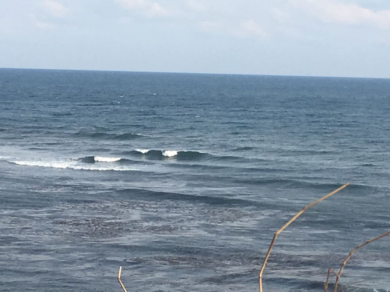 c0254151_1834553.jpg