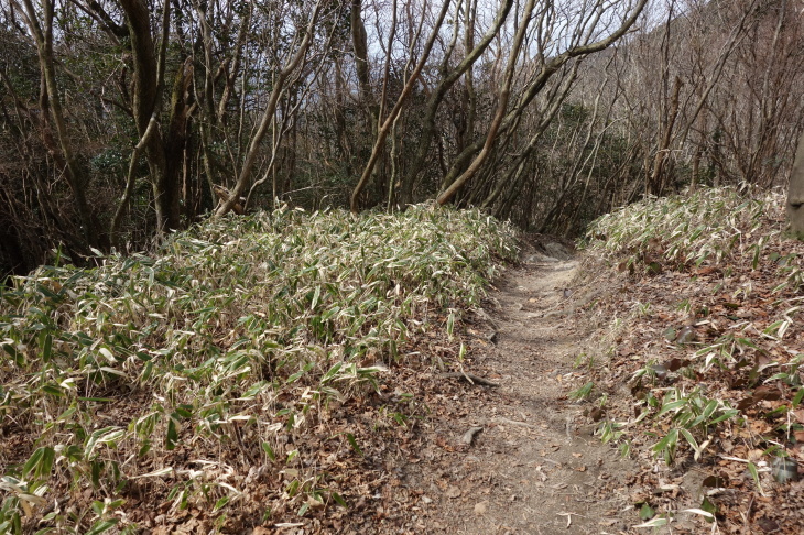 d0345153_16541409.jpg
