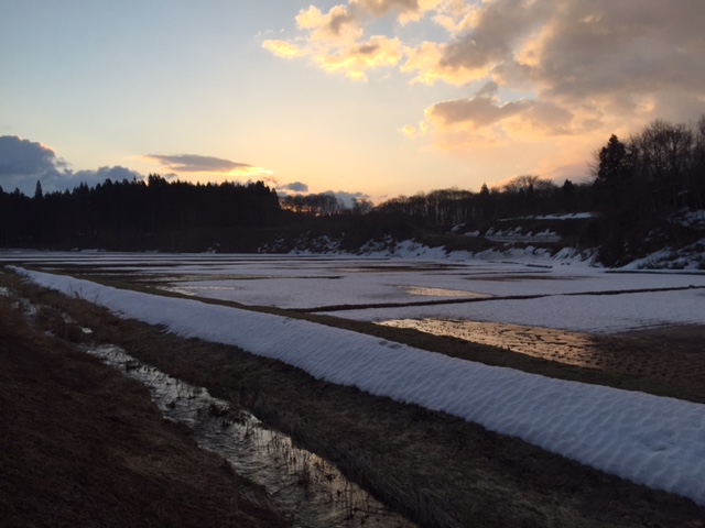 田んぼの雪がとけてきた_b0311459_6215028.jpg