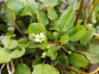 e0046477_20343062.jpg