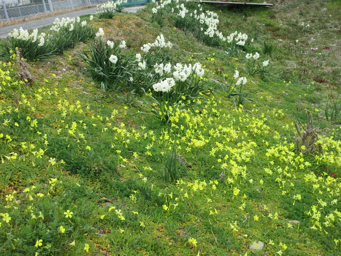 和歌山労災病院＆下校見守り_f0053885_20201217.jpg