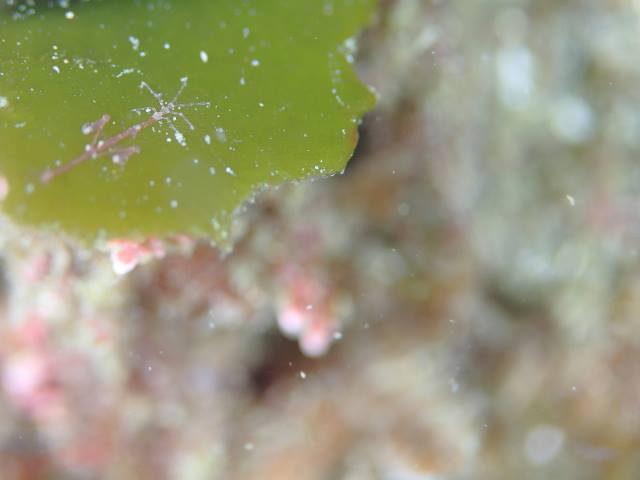 f0151886_1742319.jpg