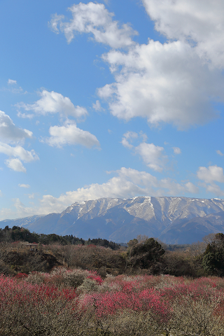 青空の下で_a0194990_1572099.jpg