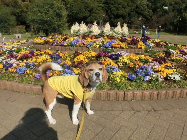 a0319693_925369.jpg