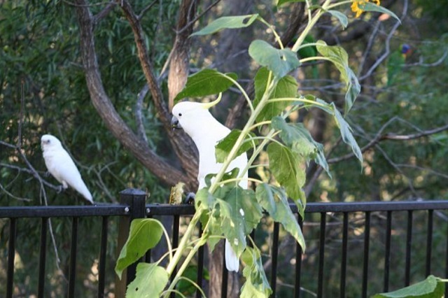 f0346196_07303568.jpg