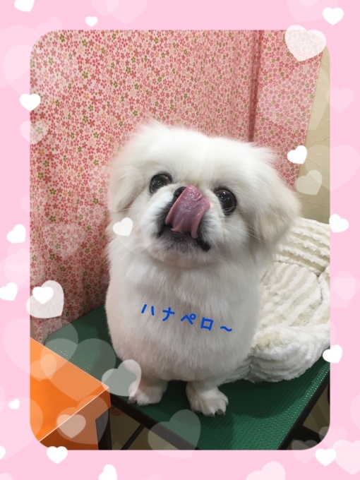 d0269898_12130379.jpeg