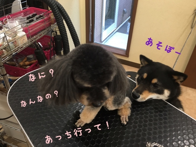 d0269898_13222434.jpeg