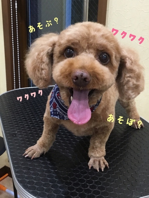 d0269898_13245236.jpeg