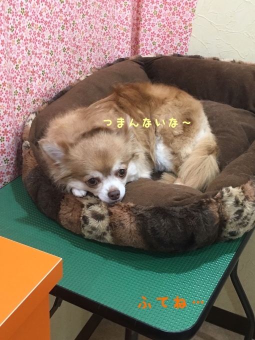 d0269898_13260404.jpeg