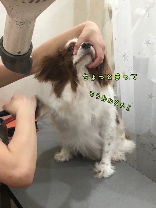 d0269898_13264833.jpeg