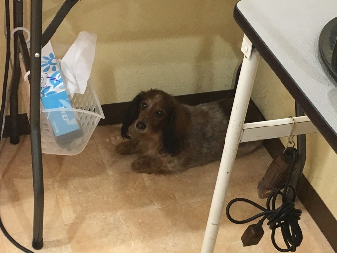 d0269898_13291223.jpeg
