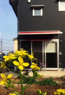 c0039501_12124883.jpg
