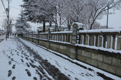 名残雪が降った、降っている米沢キャンパス、２０１７．３．２４・・・１_c0075701_15172008.jpg