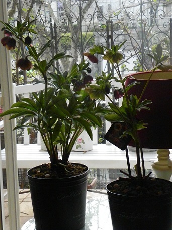 c0152002_18031442.jpg