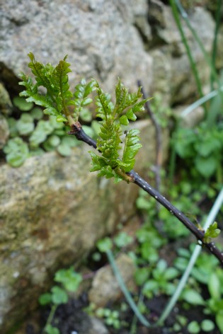 e0206902_3291863.jpg