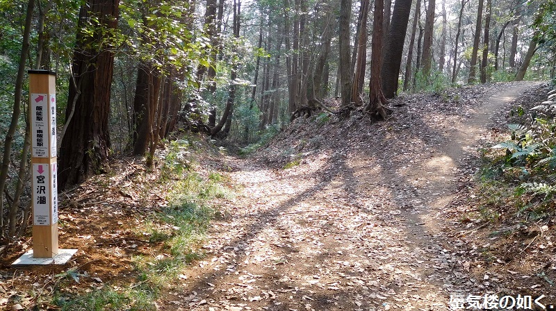 e0304702_20294032.jpg