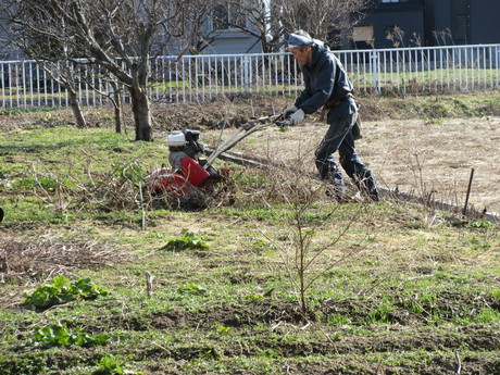 a0203003_22581771.jpg