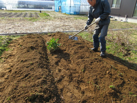 a0203003_22591125.jpg