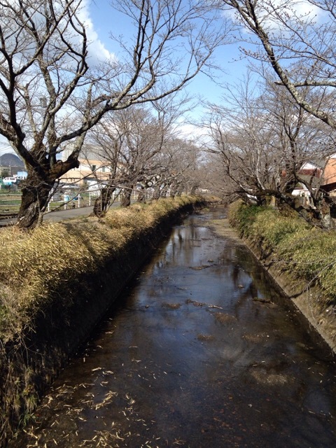 b0289206_15262618.jpg