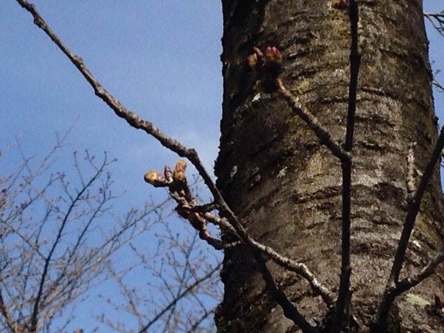 b0289206_15264041.jpg
