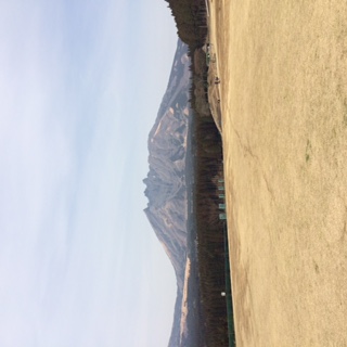 c0147709_14323155.jpg