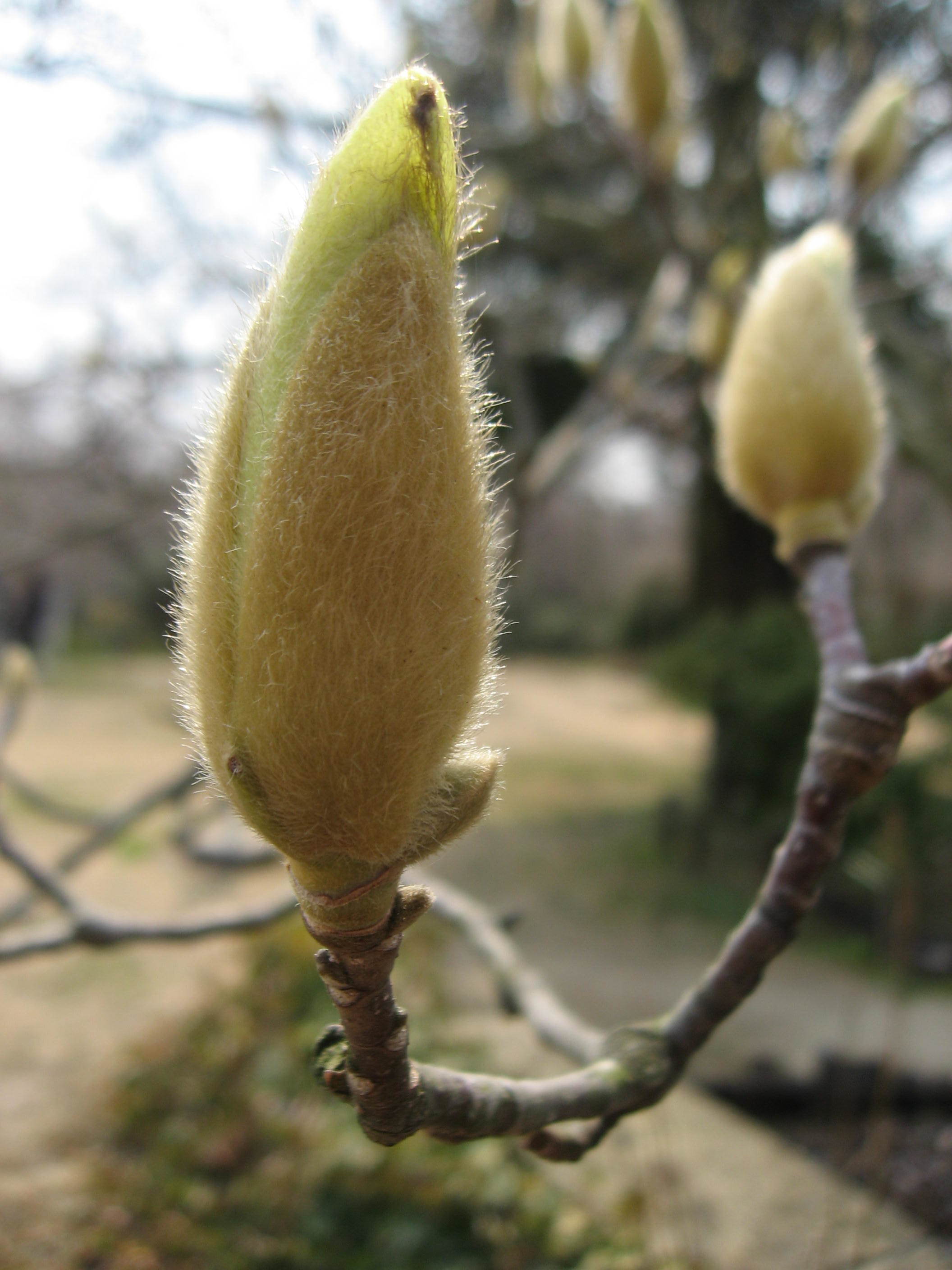 c0062511_22262562.jpg