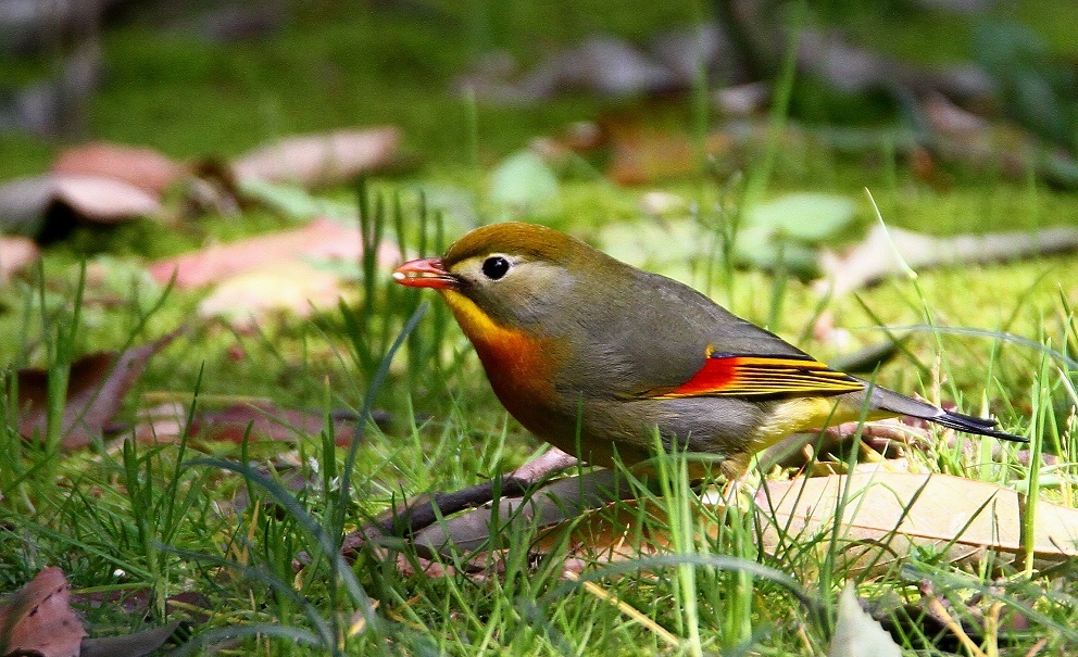 f0364220_16151216.jpg