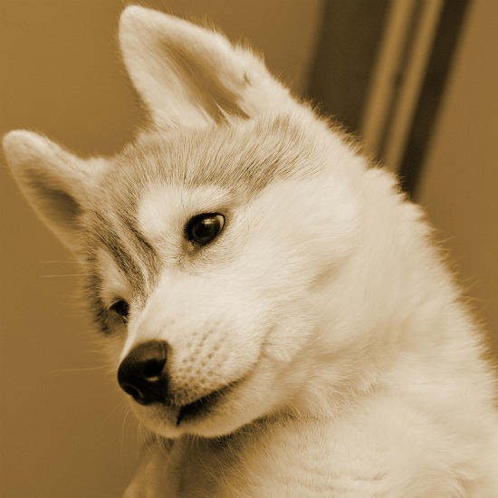 a0047325_23534264.jpg
