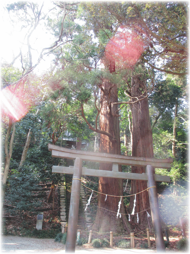 c0107829_00174771.gif