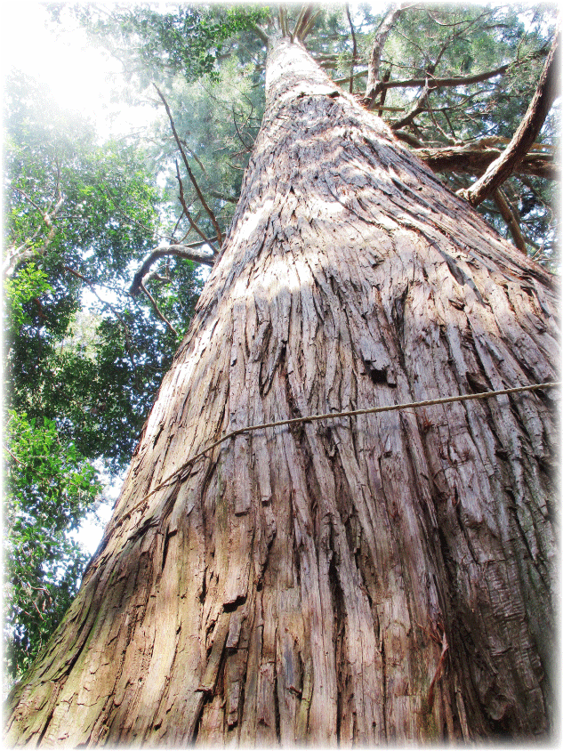 c0107829_00185031.gif