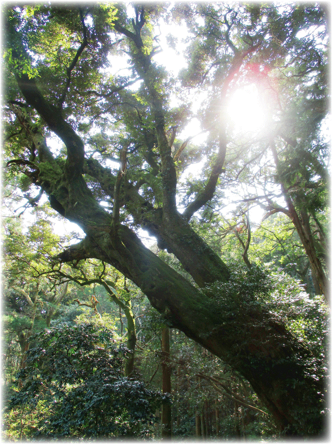 c0107829_00193322.gif