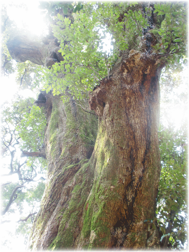 c0107829_00200059.gif