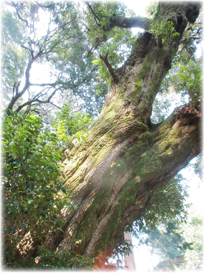 c0107829_00201818.gif