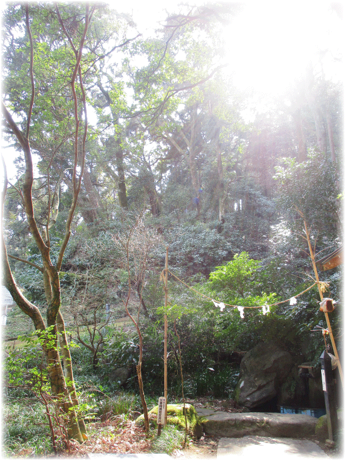 c0107829_00203038.gif