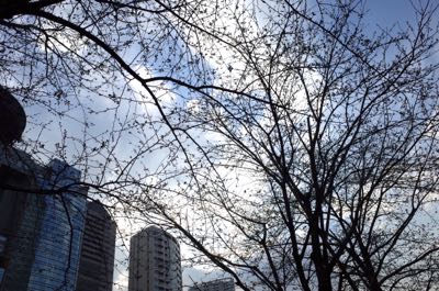 f0132230_0194798.jpg