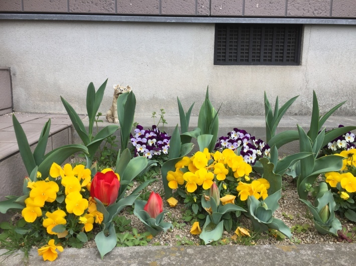 卒業式♪_b0115751_12133837.jpg