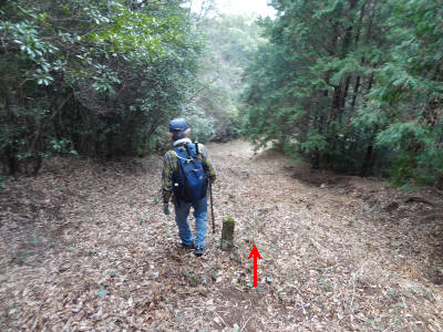 小江原から稲佐山を越えて飽の浦へ歩ってみよう　（２） _e0033751_1985723.jpg