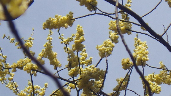 a0166454_14490451.jpg