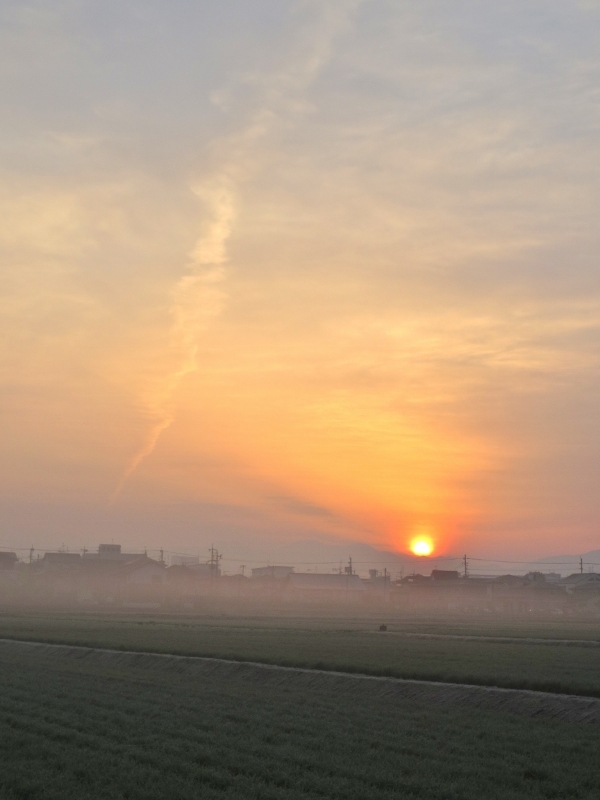 b0248954_07192699.jpg