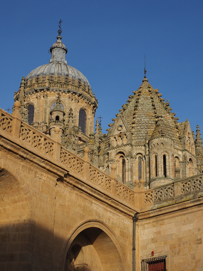 f0140054_0111311.jpg