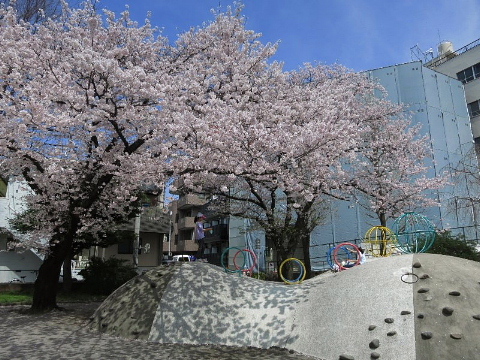 信仰も健康も……。_b0141773_17393693.jpg